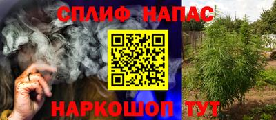 дмт Краснознаменск