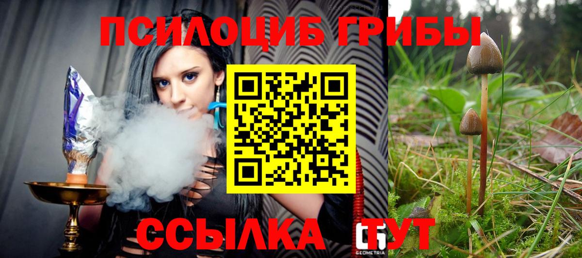 Галлюциногенные грибы Cubensis Карасук